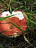foto_135.jpg (79&nbsp;KB)