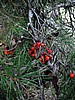 foto_136.jpg (109&nbsp;KB)