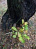 foto_138.jpg (122&nbsp;KB)