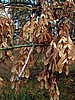 foto_140.jpg (105&nbsp;KB)