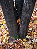 foto_144.jpg (112&nbsp;KB)