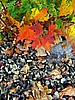 foto_148.jpg (123&nbsp;KB)
