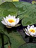 foto_152.jpg (72&nbsp;KB)