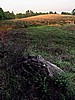 foto_153.jpg (100&nbsp;KB)