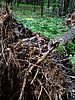 foto_160.jpg (124&nbsp;KB)