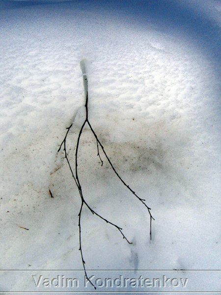 photo_009.jpg