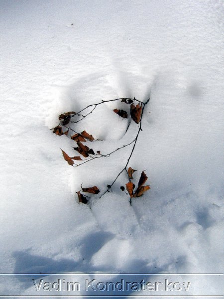 photo_010.jpg