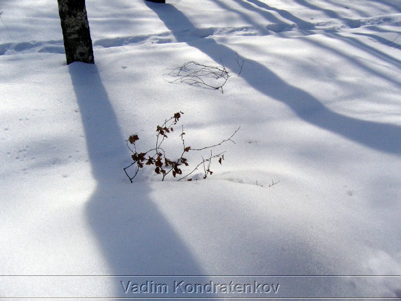 photo_011.jpg