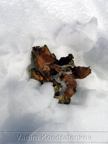 photo_012.jpg