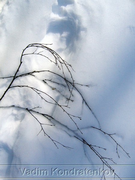 photo_015.jpg