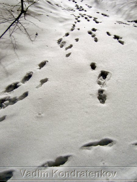 photo_017.jpg