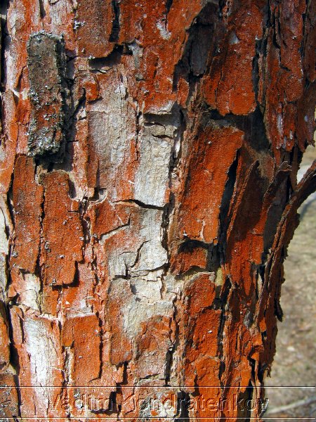 photo_020.jpg