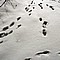 photo_017.jpg (75&nbsp;KB)