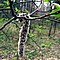 photo_094.jpg (105&nbsp;KB)