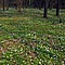 photo_101.jpg (238&nbsp;KB)