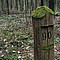 photo_114.jpg (231&nbsp;KB)