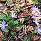 photo_117.jpg (221&nbsp;KB)
