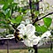 photo_150.jpg (81&nbsp;KB)