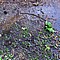 photo_152.jpg (244&nbsp;KB)