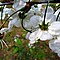 photo_153.jpg (98&nbsp;KB)