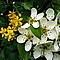 photo_157.jpg (110&nbsp;KB)