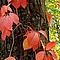 photo_166.jpg (214&nbsp;KB)