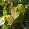 photo_173.jpg (72&nbsp;KB)