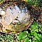 photo_190.jpg (225&nbsp;KB)