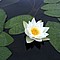photo_204.jpg (76&nbsp;KB)