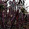 photo_213.jpg (124&nbsp;KB)