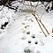 photo_221.jpg (70&nbsp;KB)