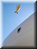 dirigible_19.jpg (32&nbsp;KB)