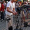 festival_079.jpg (84 KB)