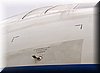 il76mf_53.jpg (33 KB)