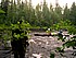 karelia2003_08.jpg (121 KB)