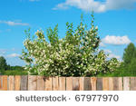 shutterstock_34.jpg (49 KB)