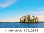 shutterstock_03.jpg (72 KB)