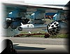 su25sm_041.jpg (97 KB)