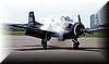 t28b_20.jpg (41 KB)