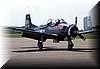 t28b_21.jpg (49 KB)