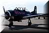 t28b_23.jpg (47 KB)