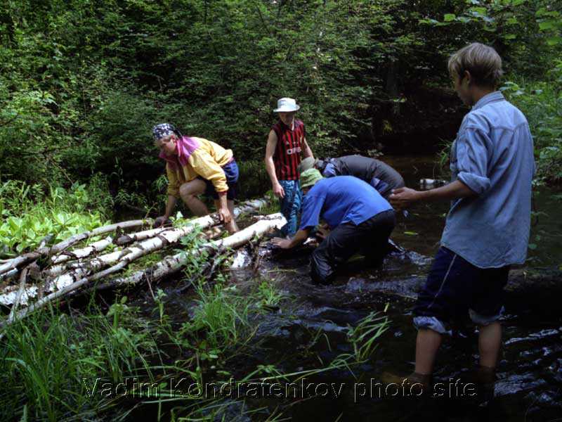 17_blockages_on_the_river.jpg