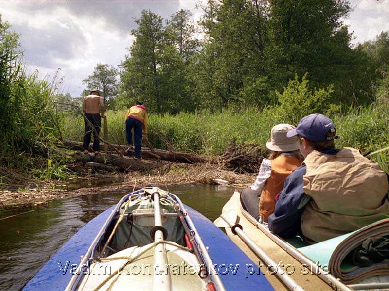 30_blockage_on_Svino_river.jpg