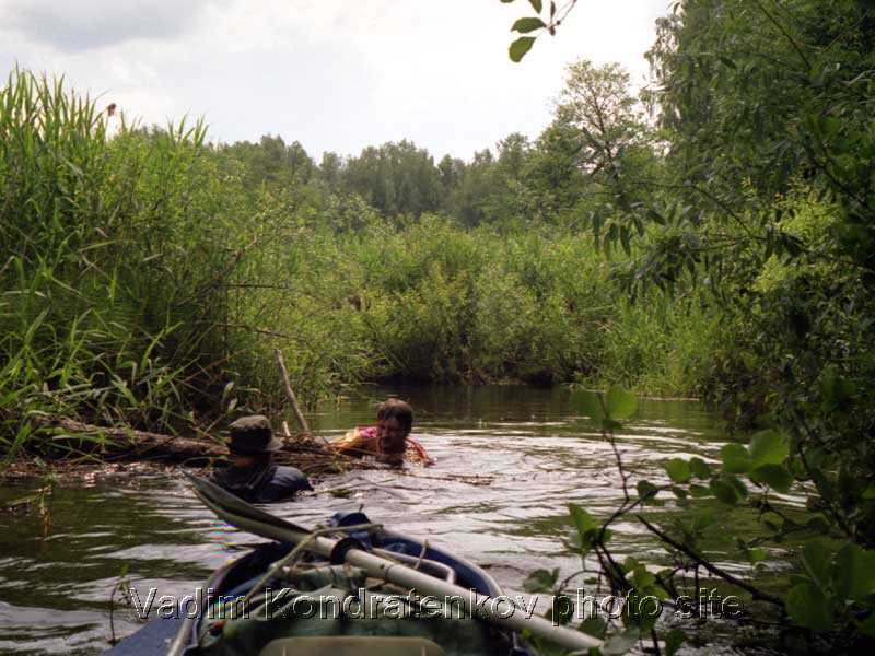 33_blockage_on_Svino_river.jpg