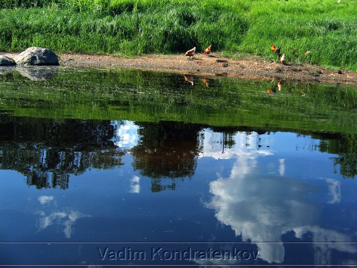 travel_202.jpg