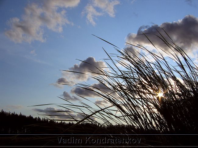 nature_143.jpg