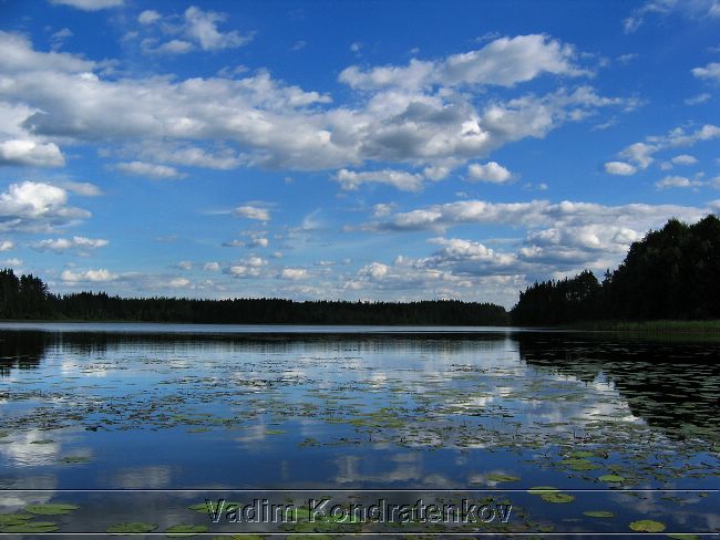 nature_153.jpg
