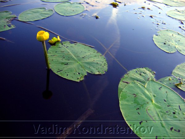 foto_200.jpg